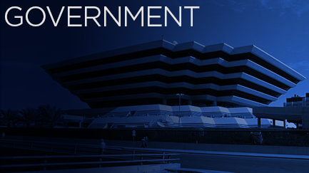 government